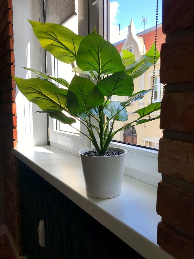 Apartament Odrzanka Gryfino Bagian luar foto